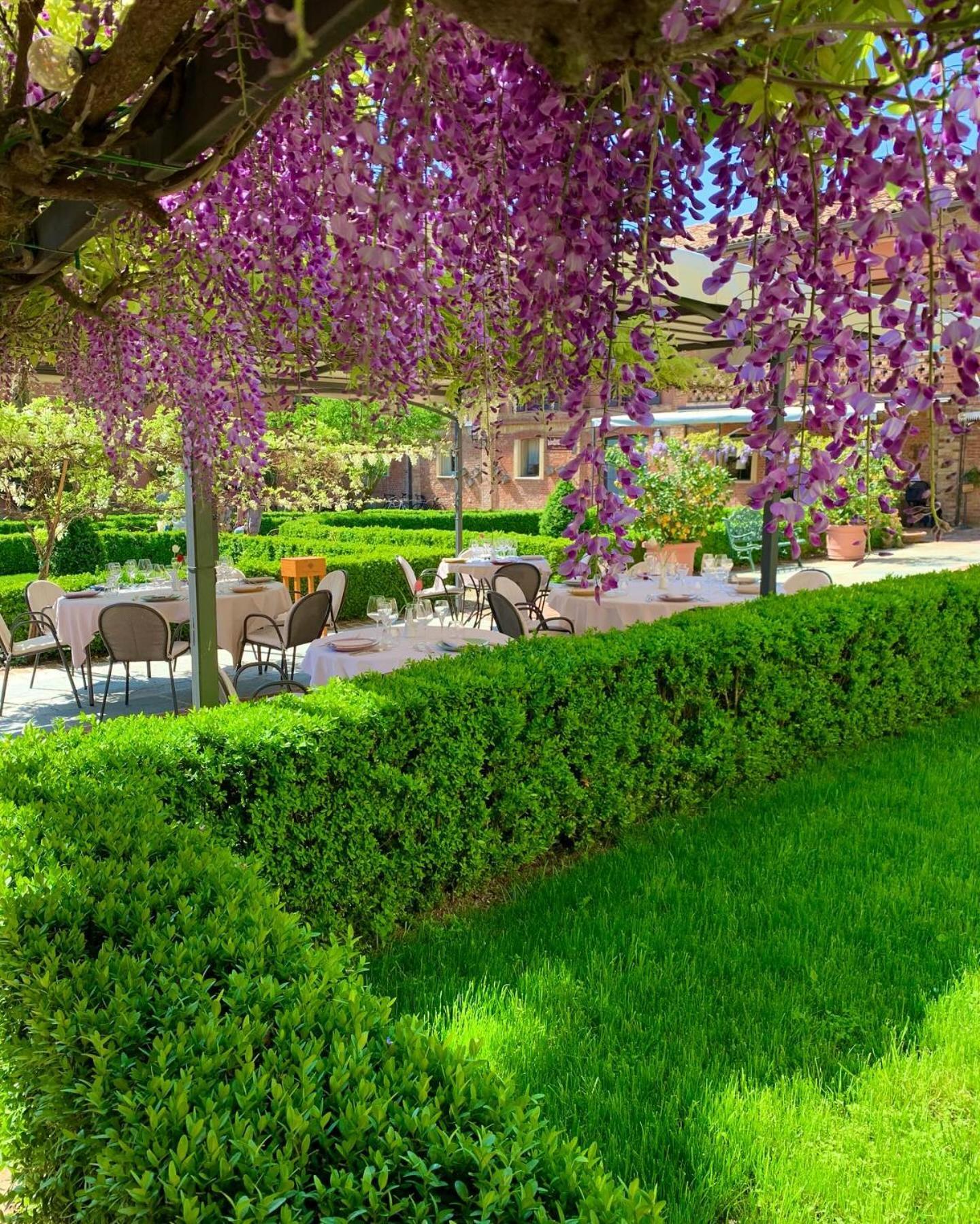 Relais Castello Di Razzano Hotel Alfiano Natta Екстериор снимка
