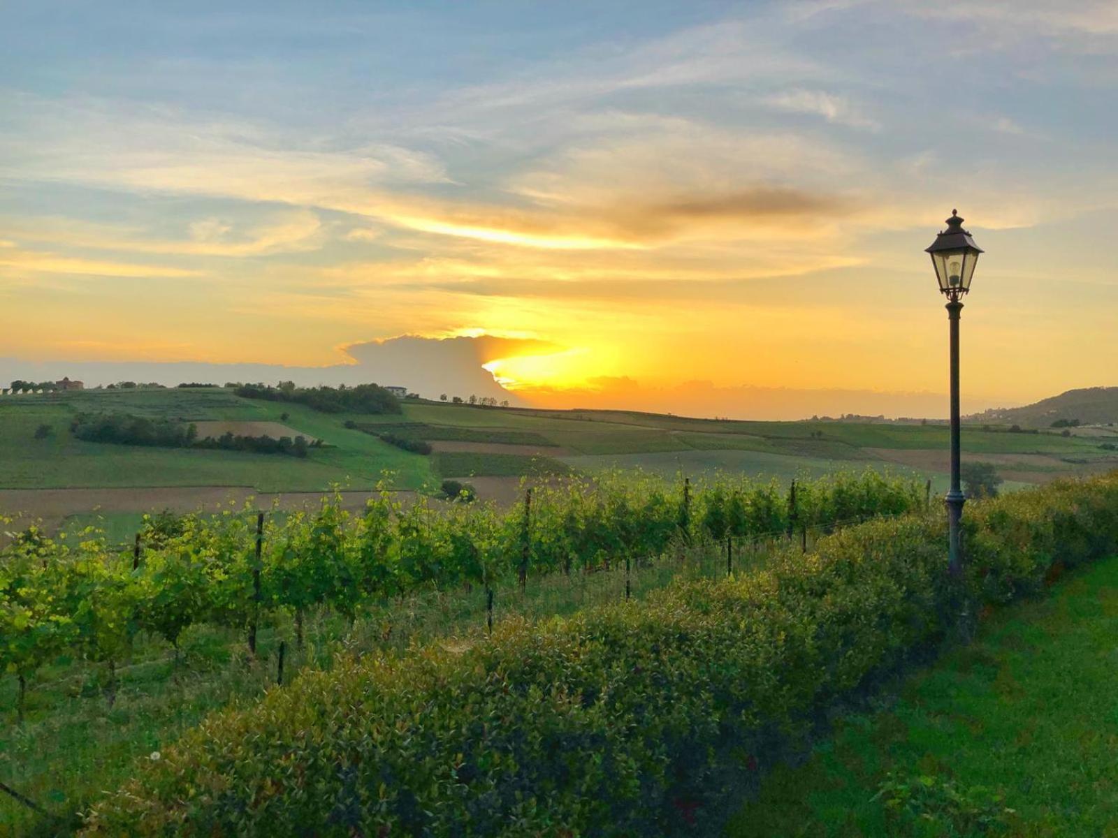 Relais Castello Di Razzano Hotel Alfiano Natta Екстериор снимка